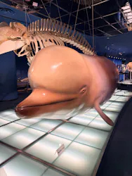 名古屋港水族館に投稿された画像（2026/7/31）