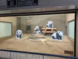 恩賜上野動物園に投稿された画像（2026/7/31）