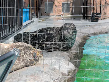 恩賜上野動物園に投稿された画像（2026/7/31）