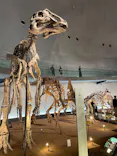 福井県立恐竜博物館に投稿された画像（2026/7/31）