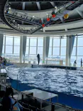 アクアワールド茨城県大洗水族館に投稿された画像（2026/7/31）
