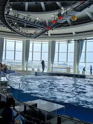 アクアワールド茨城県大洗水族館に投稿された画像（2026/7/31）