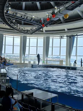 アクアワールド茨城県大洗水族館に投稿された画像（2026/7/31）