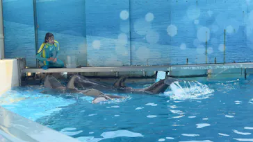 新江ノ島水族館に投稿された画像（2026/7/31）