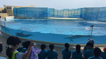 新江ノ島水族館に投稿された画像（2026/7/31）