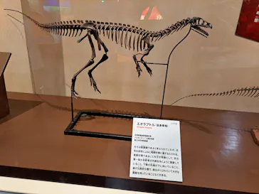 特別展　大絶滅展に投稿された画像（2026/7/31）
