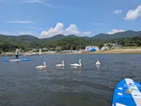 WATER CRAB （ウォータークラブ）に投稿された画像（2026/7/31）