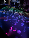 すみだ水族館に投稿された画像（2026/7/31）