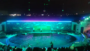 仙台うみの杜水族館に投稿された画像（2026/7/31）