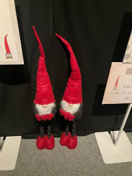 オーロラと森のものがたり展 　～ヒュッゲと童話がおしえてくれたもの～に投稿された画像（2026/7/31）
