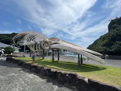 太地町立くじらの博物館に投稿された画像（2026/7/31）