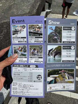 太地町立くじらの博物館に投稿された画像（2026/7/31）