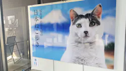 写真展　岩合光昭の「日本ねこ歩き」（愛知会場）に投稿された画像（2026/7/31）