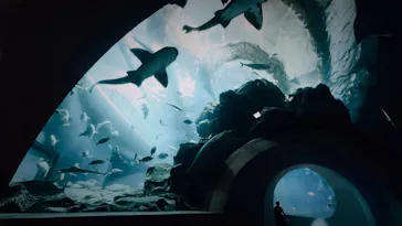 大分マリーンパレス水族館 「うみたまご」に投稿された画像（2026/7/31）