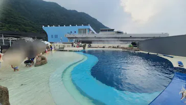 大分マリーンパレス水族館 「うみたまご」に投稿された画像（2026/7/31）