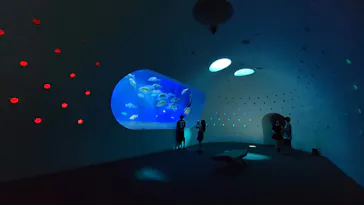大分マリーンパレス水族館 「うみたまご」に投稿された画像（2026/7/31）