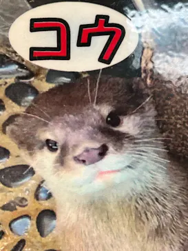 伊豆・三津シーパラダイスに投稿された画像（2026/7/31）