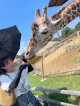 伊豆シャボテン動物公園に投稿された画像（2026/8/1）