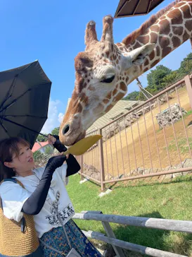 伊豆シャボテン動物公園に投稿された画像（2026/7/31）