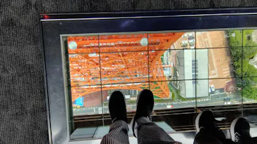 東京タワーに投稿された画像（2026/7/31）