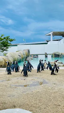 仙台うみの杜水族館に投稿された画像（2026/7/31）