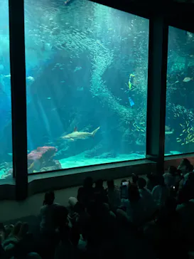 マリンワールド海の中道に投稿された画像（2026/8/1）