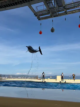 マリンワールド海の中道に投稿された画像（2026/8/1）