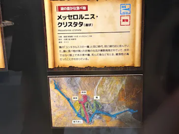 ヨコハマ恐竜展２０２６～恐竜の食卓大図鑑～に投稿された画像（2026/8/1）