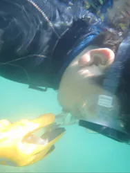 ARK Diving Shop 串本店に投稿された画像（2026/8/1）