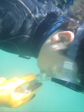 ARK Diving Shop 串本店に投稿された画像（2026/8/1）