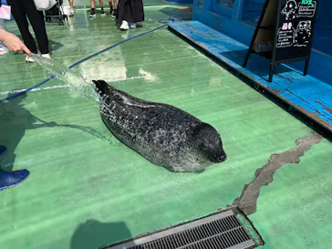 ゼロ距離水族館 伊勢シーパラダイスに投稿された画像（2026/8/1）