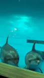 アクアワールド茨城県大洗水族館に投稿された画像（2026/8/1）
