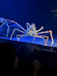サンシャイン水族館に投稿された画像（2026/8/1）