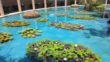 大塚国際美術館に投稿された画像（2026/8/1）