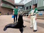 アクアワールド茨城県大洗水族館に投稿された画像（2026/8/1）