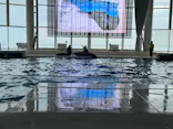 アクアワールド茨城県大洗水族館に投稿された画像（2026/8/1）