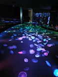 すみだ水族館に投稿された画像（2026/8/1）