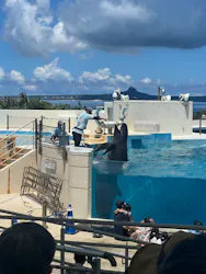 沖縄美ら海水族館に投稿された画像（2026/8/1）