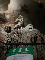 秋芳洞に投稿された画像（2026/8/1）