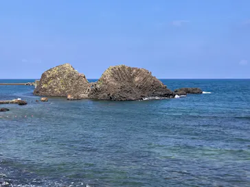 越前松島水族館に投稿された画像（2026/8/1）
