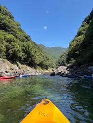 屋久島ガイドクラブに投稿された画像（2026/8/1）