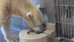 名古屋市東山動植物園に投稿された画像（2026/8/1）