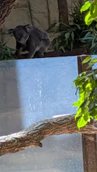 名古屋市東山動植物園に投稿された画像（2026/8/1）