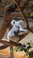 名古屋市東山動植物園に投稿された画像（2026/8/1）