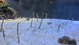 名古屋港水族館に投稿された画像（2026/8/1）