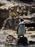すみだ水族館に投稿された画像（2026/8/1）