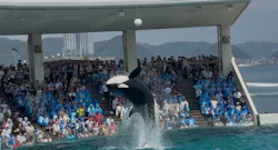 鴨川シーワールドに投稿された画像（2026/8/1）