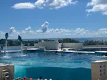 沖縄美ら海水族館に投稿された画像（2026/8/1）