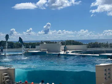 沖縄美ら海水族館に投稿された画像（2026/8/1）