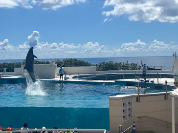 沖縄美ら海水族館に投稿された画像（2026/8/1）